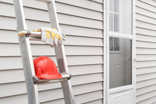 Affordable Siding Repair and Maintenance Services in Ripley, TN