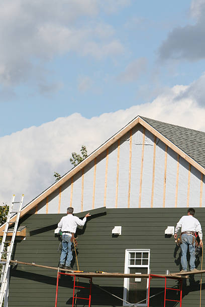 Reliable Ripley, TN Siding Solutions